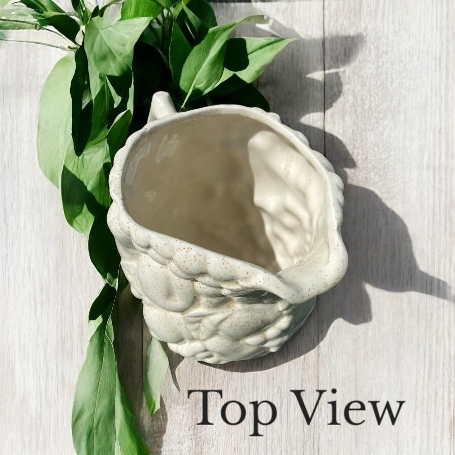 Vintage French Farmhouse Pitcher - Camden Layne