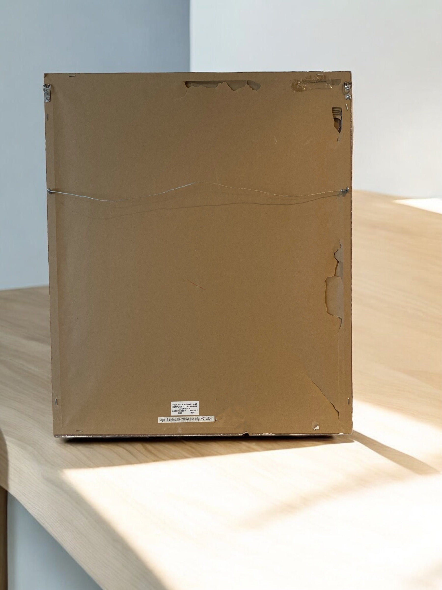 “Gray Poppies” - Camden Layne