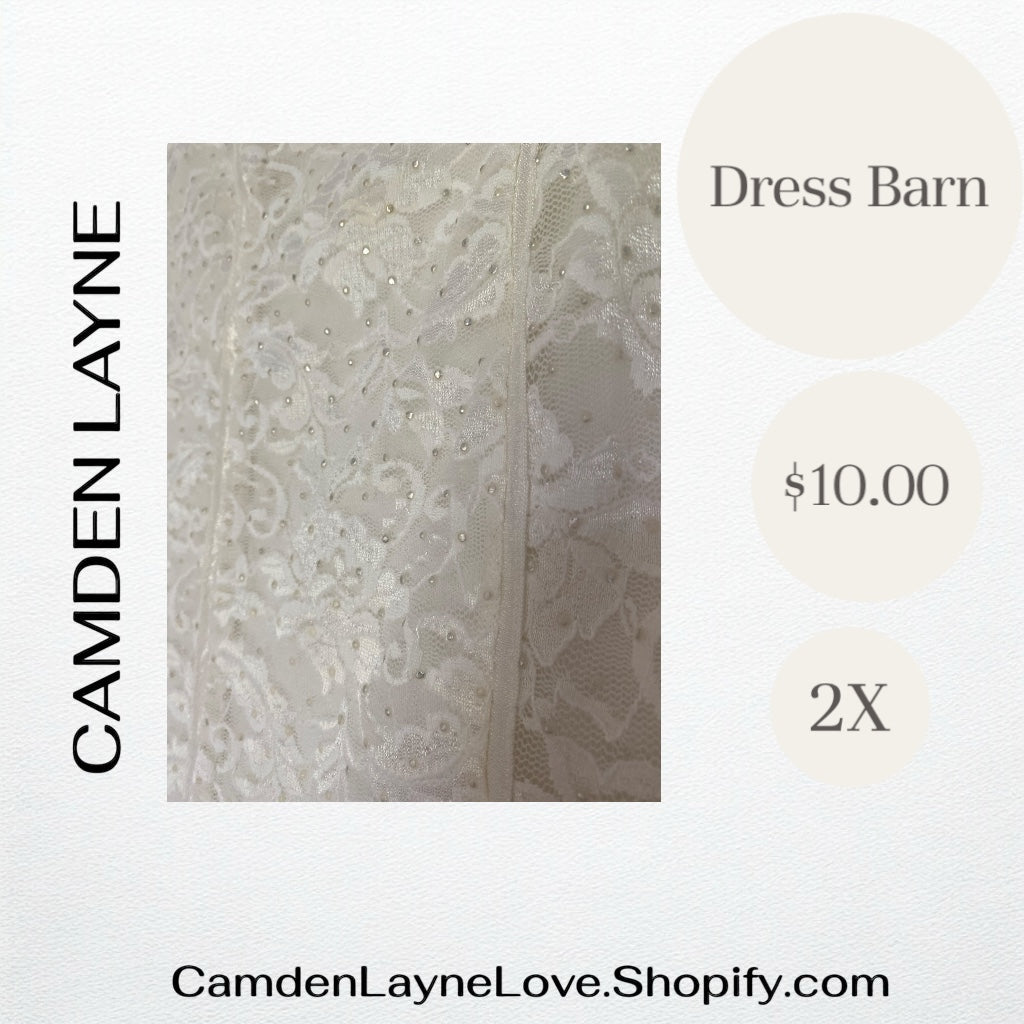 White Dress Barn Shiny Blouse