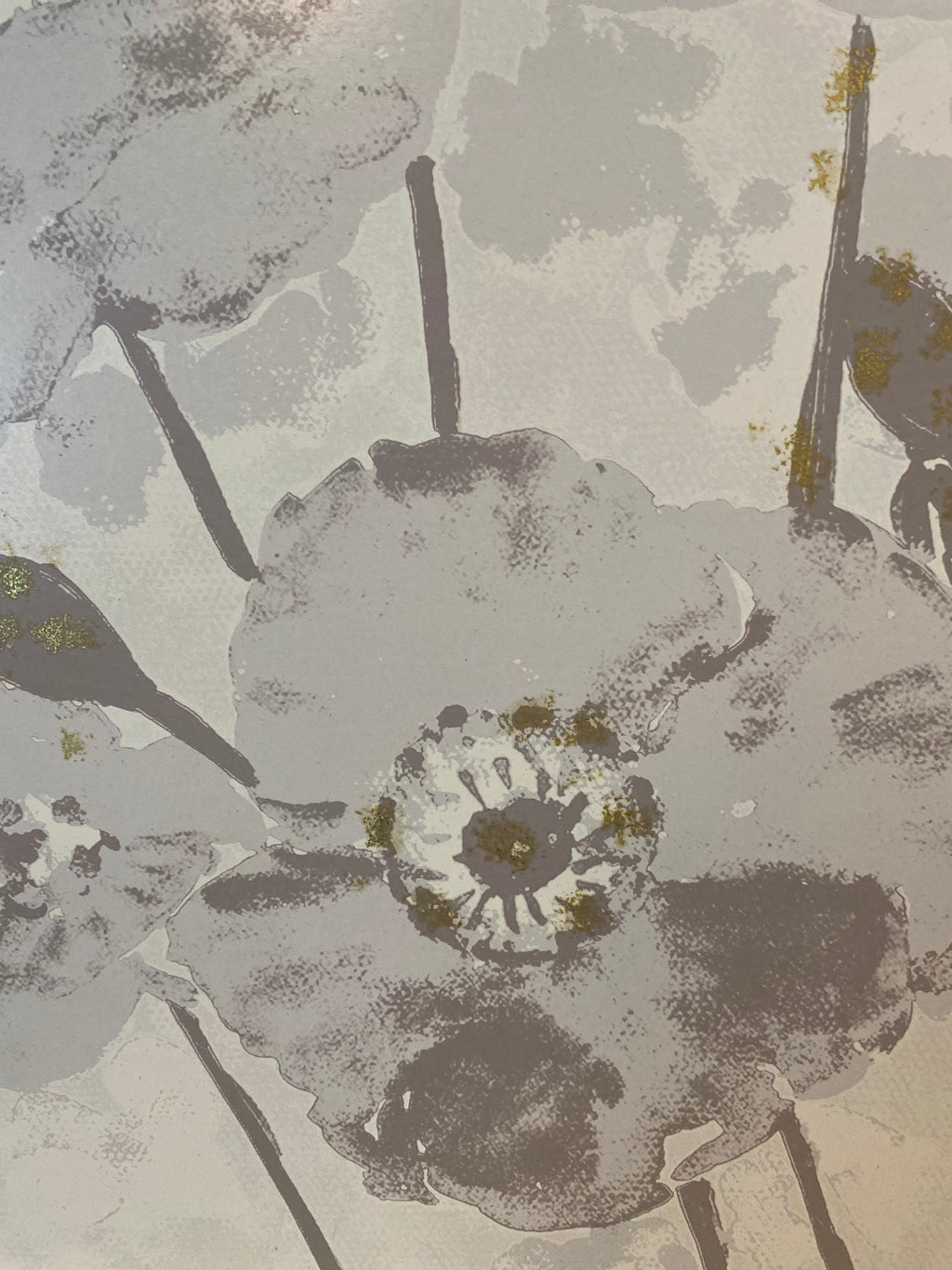 “Gray Poppies” - Camden Layne