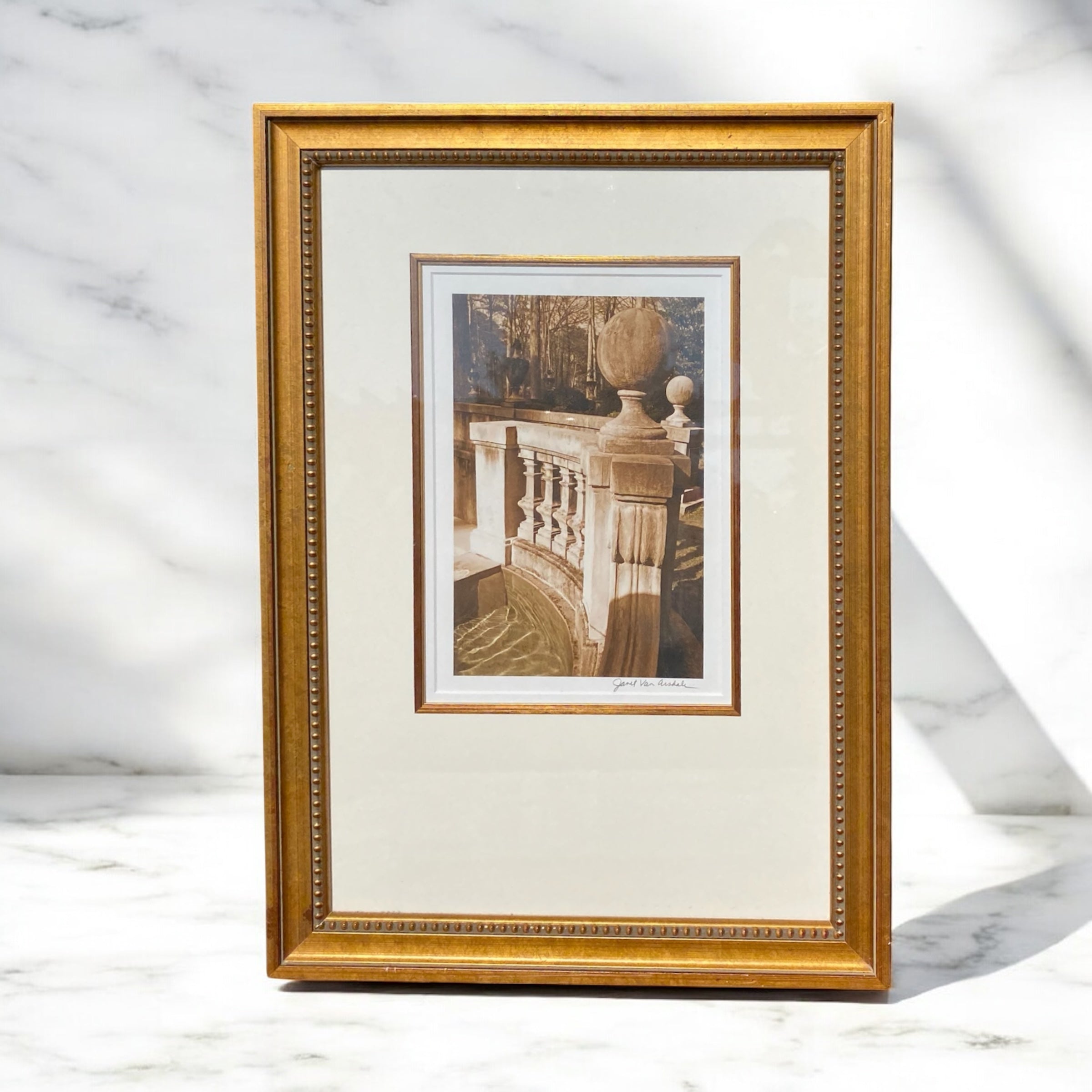 Janet Van Arsdale Photo - Camden Layne