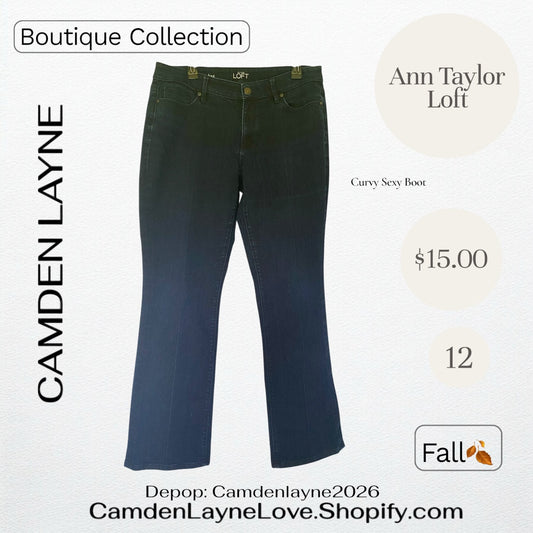 Ann Taylor Loft Curvy Sexy Boot 12
