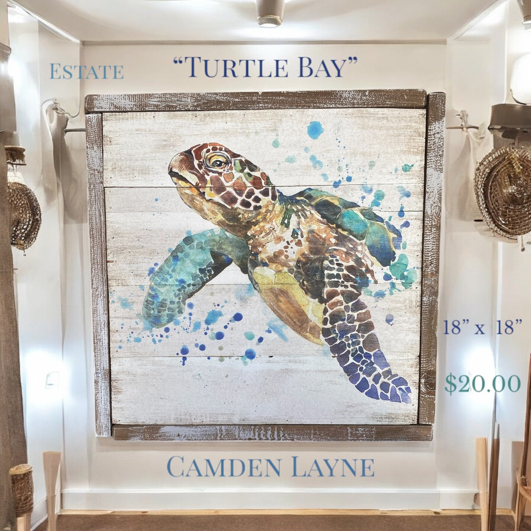 Turtle Bay Wall Art - Camden Layne