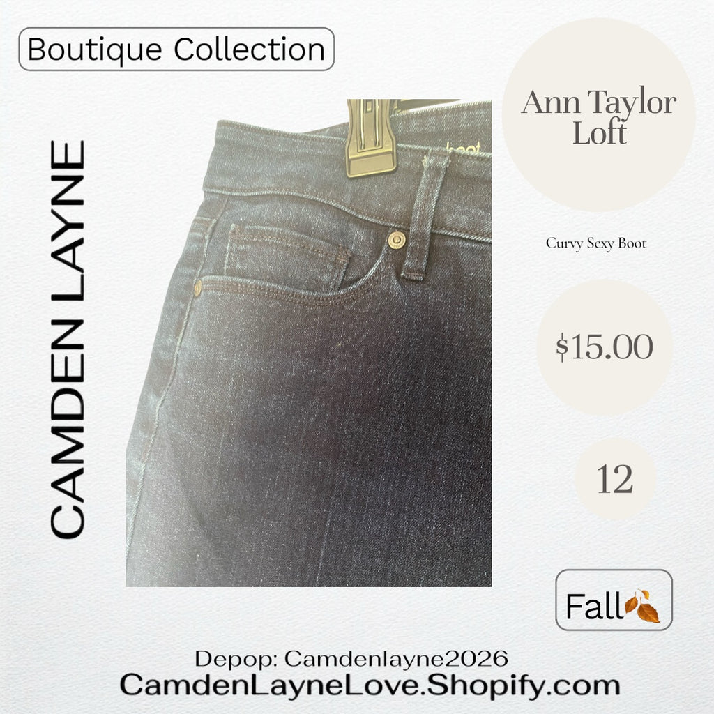 Ann Taylor Loft Curvy Sexy Boot 12