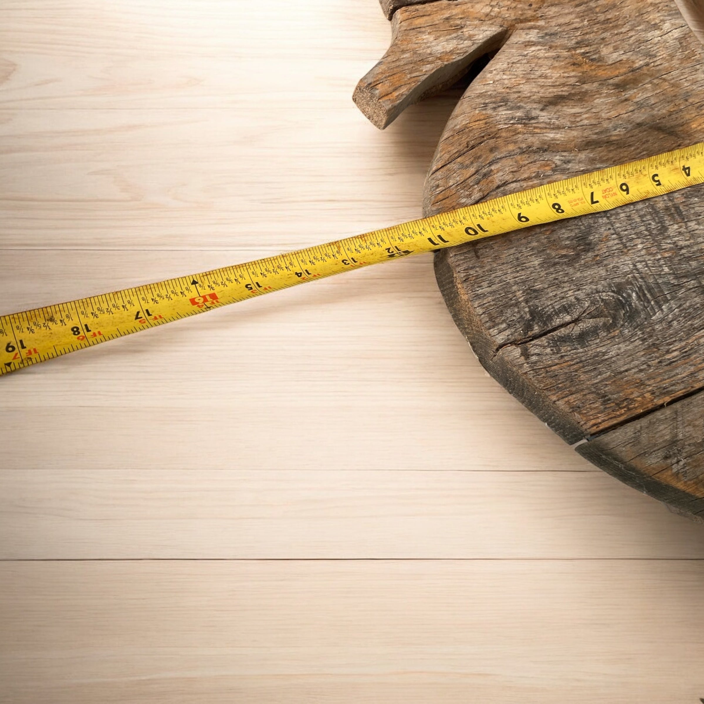 “Chuck” Driftwood Seahorse - Camden Layne