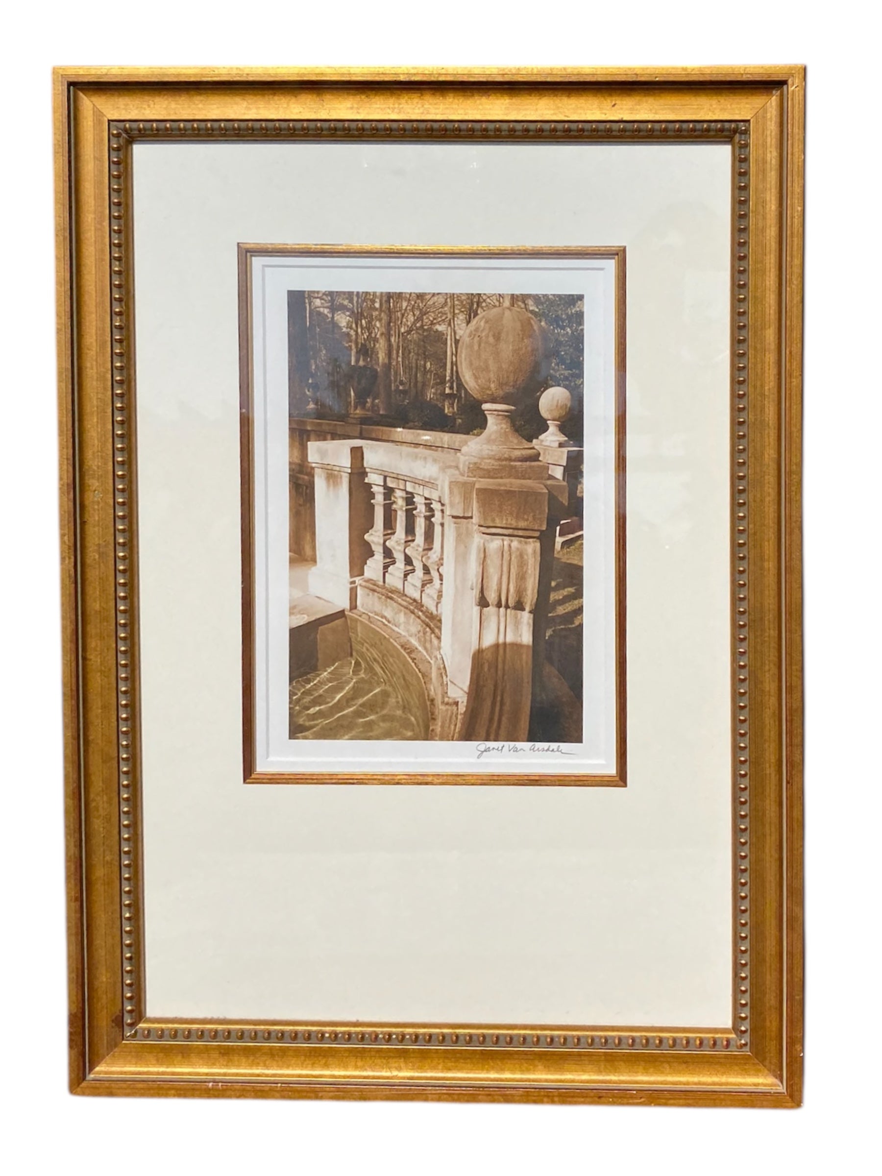 Janet Van Arsdale Photo - Camden Layne