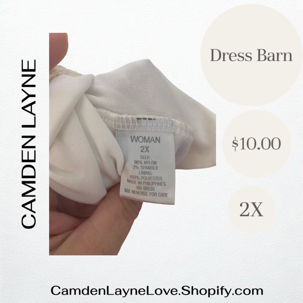 White Dress Barn Shiny Blouse