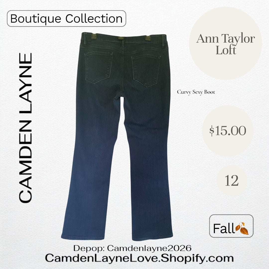 Ann Taylor Loft Curvy Sexy Boot 12