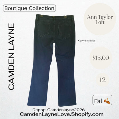 Ann Taylor Loft Curvy Sexy Boot 12
