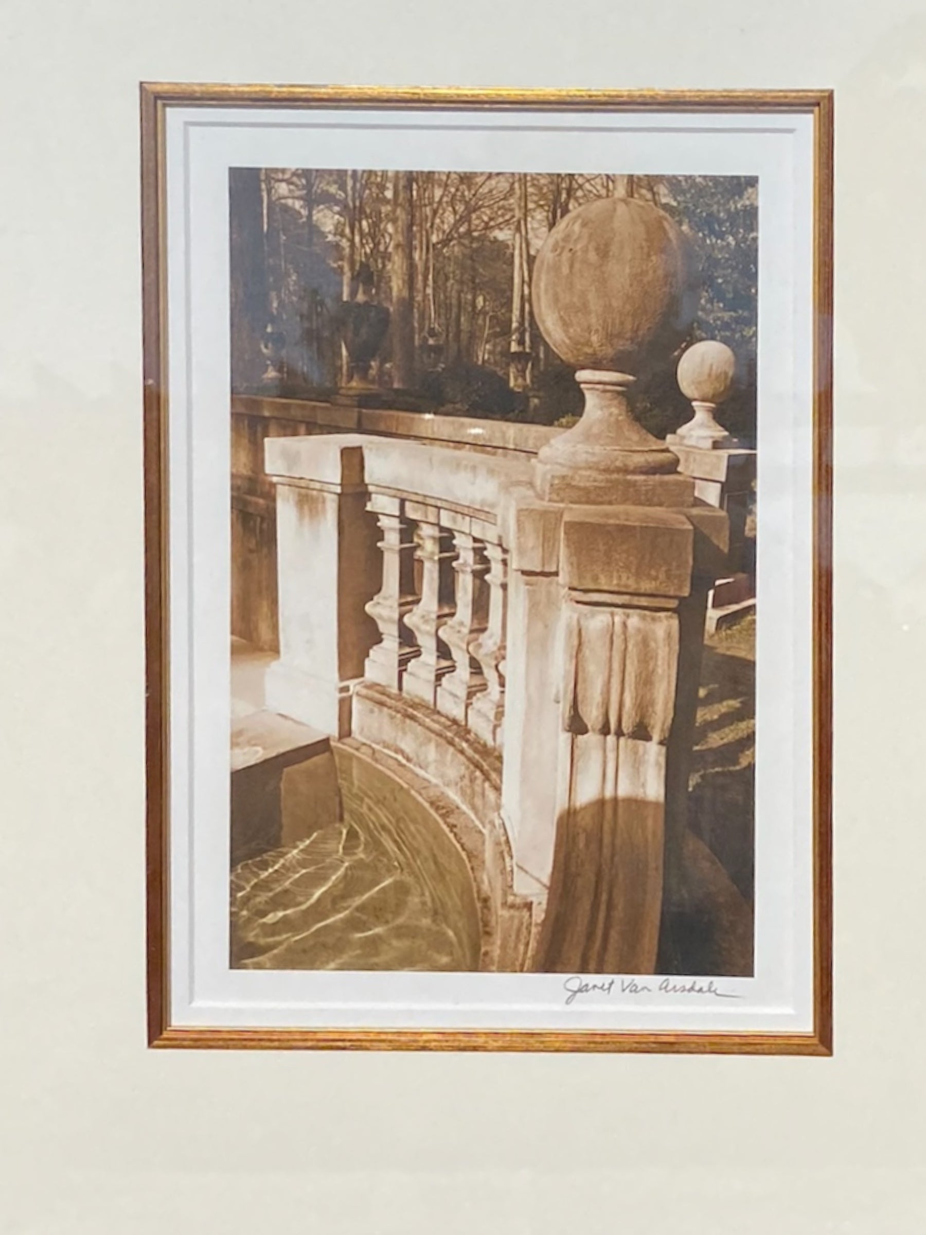 Janet Van Arsdale Photo - Camden Layne