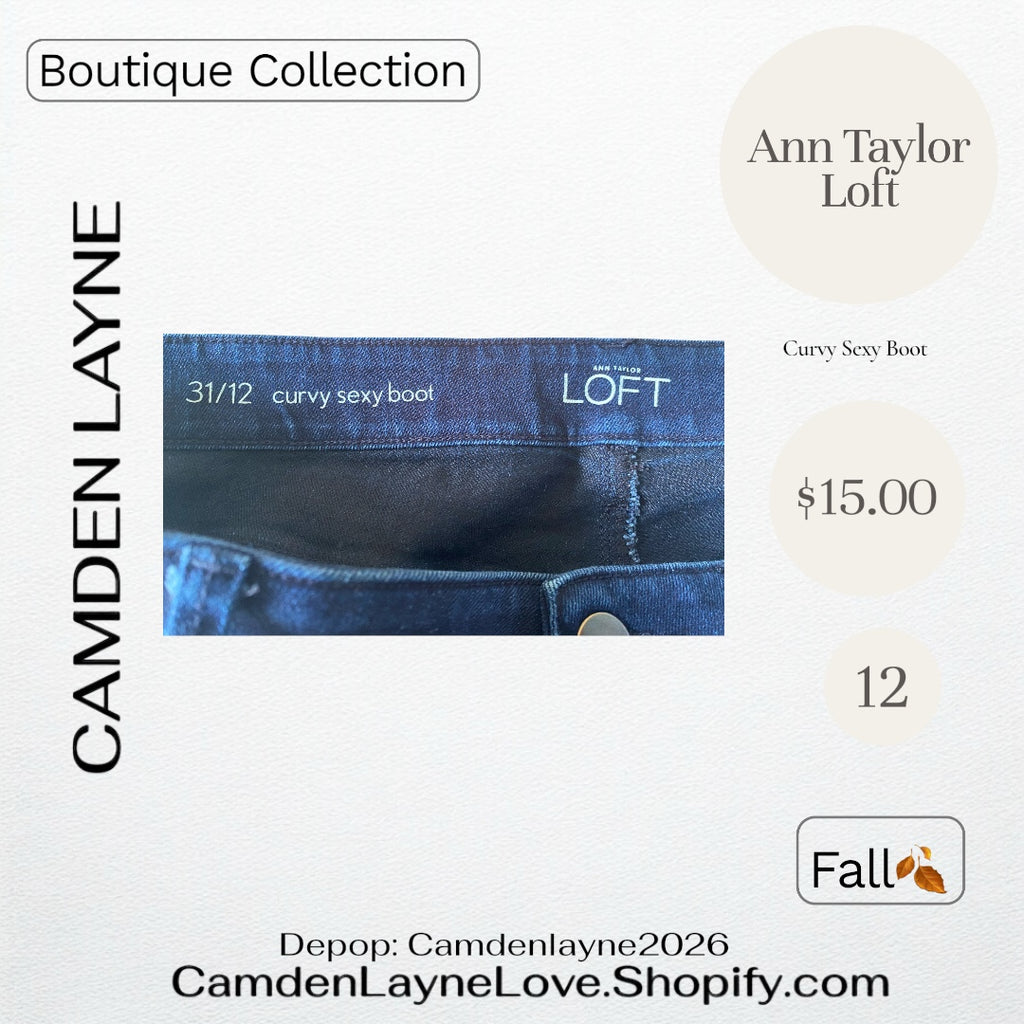 Ann Taylor Loft Curvy Sexy Boot 12