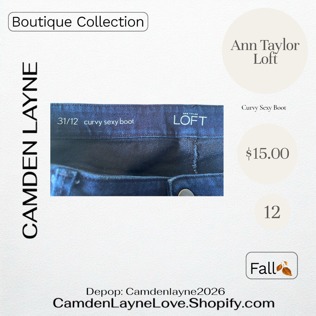 Ann Taylor Loft Curvy Sexy Boot 12