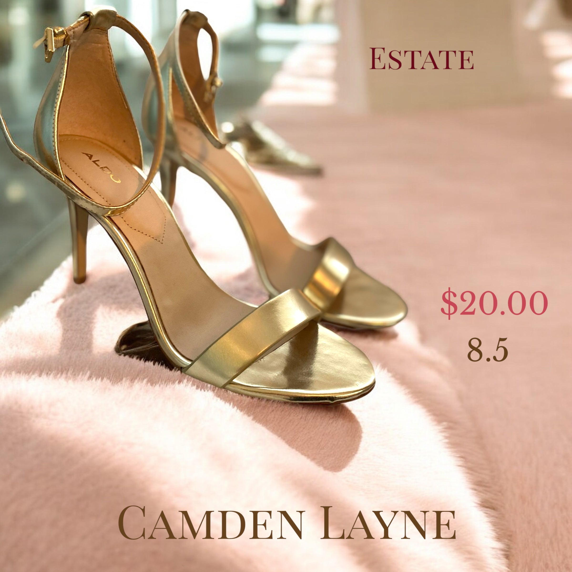 O’Hara - Camden Layne