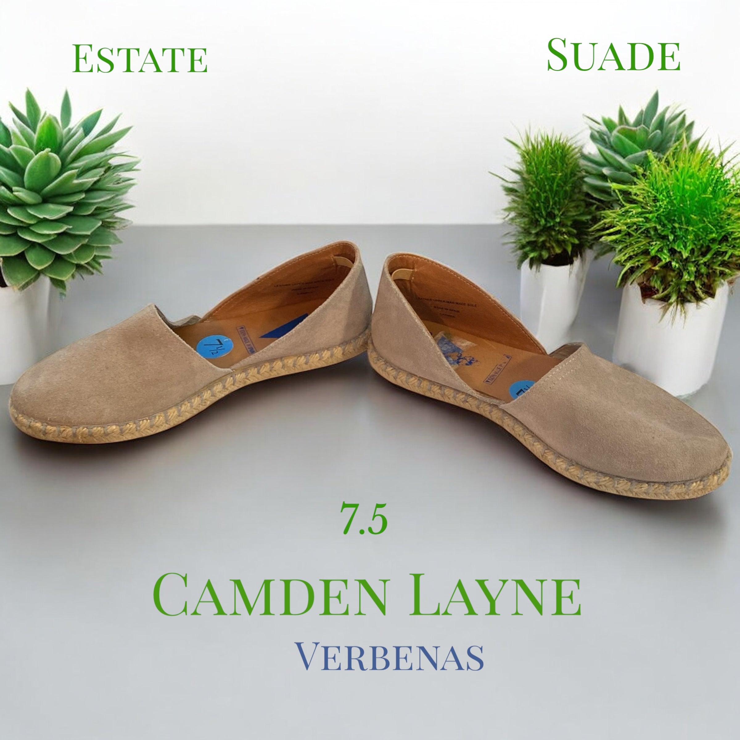 Elizabeth - Camden Layne