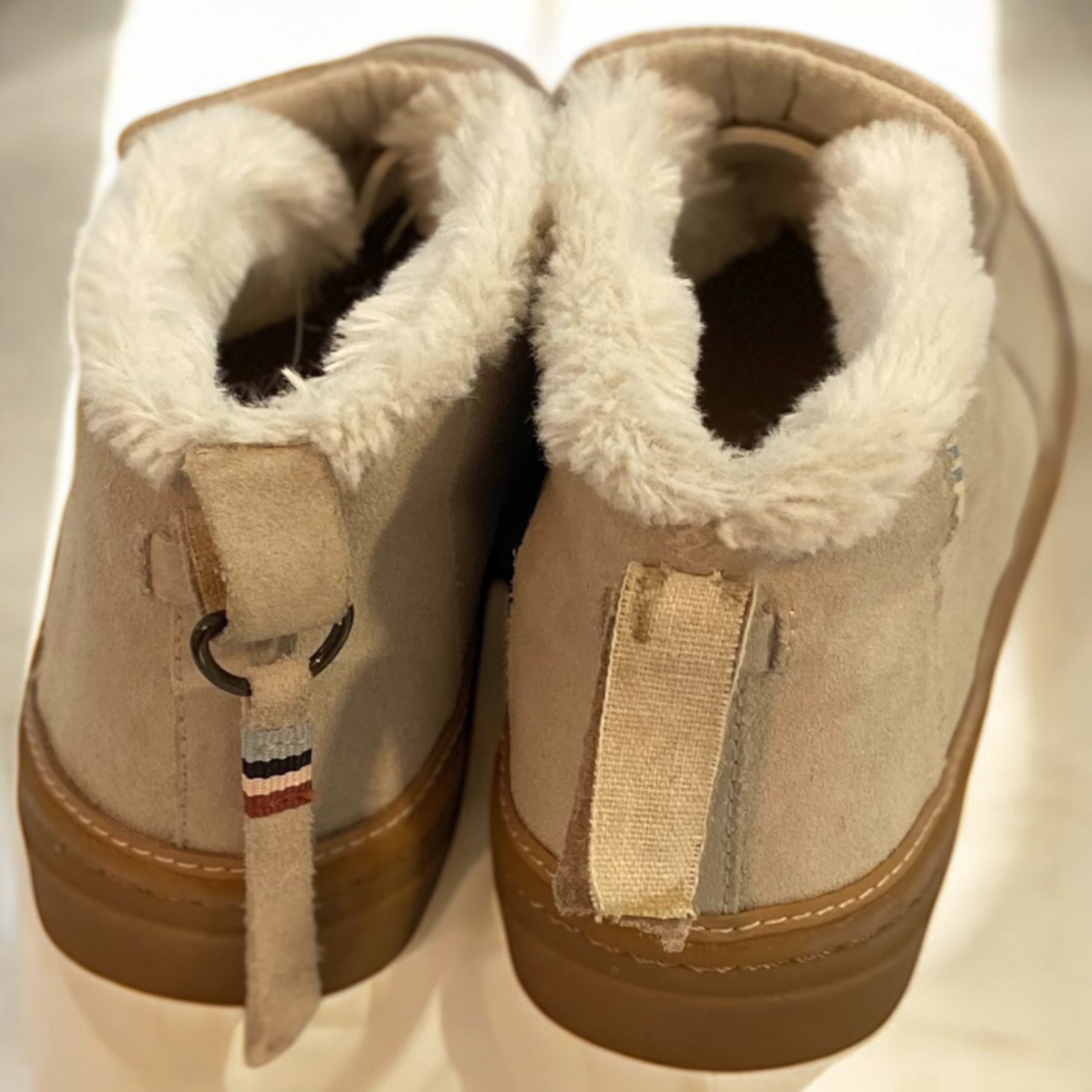 Hayden - Camden Layne