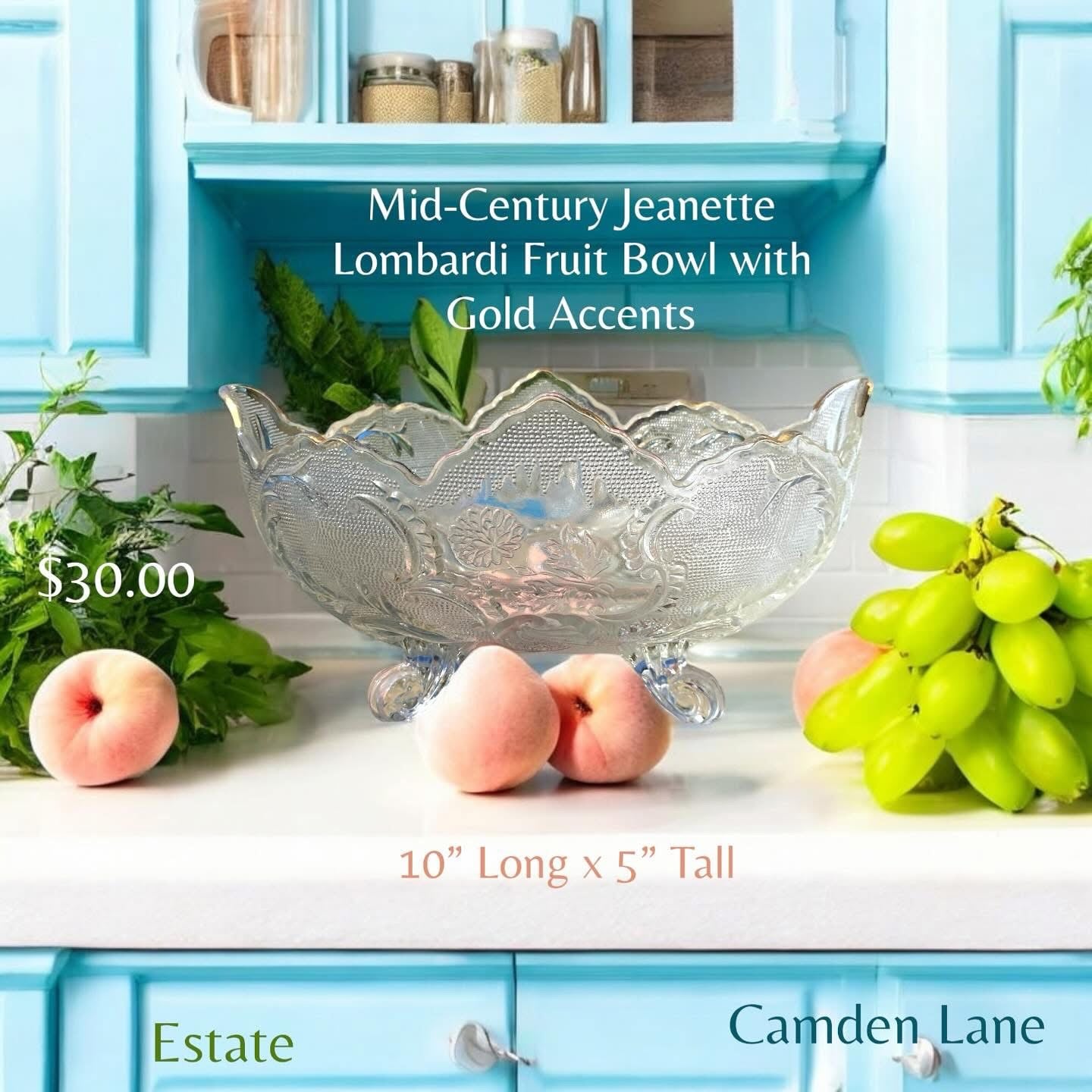 Lombardi Fruit Bowl - Camden Layne