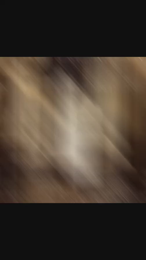 Sparkling Party Dress